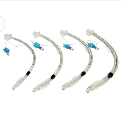Sonde endotrachéale